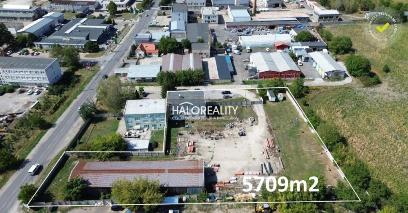 halo-reality-big-3
