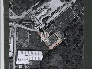 exkluzivne