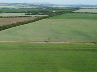 predaj-orna-poda-1733860-m2-okres-nove-zamky