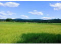 velky-pozemok-urceny-na-vystavbu-viacerych-rd-jablonove-small-3