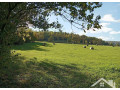 predaj-pozemkov-v-podpolani-small-4