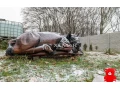 na-predaj-lesopark-volkkovce-small-2