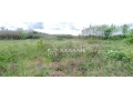 pozemok-na-predaj-small-3