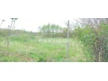 pozemok-na-predaj-small-4