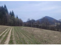 vacsi-rekreacny-pozemok-pod-lesom-s-krasnym-vyhladom-nad-o-small-1