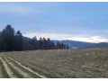 vacsi-rekreacny-pozemok-pod-lesom-s-krasnym-vyhladom-nad-o-small-2
