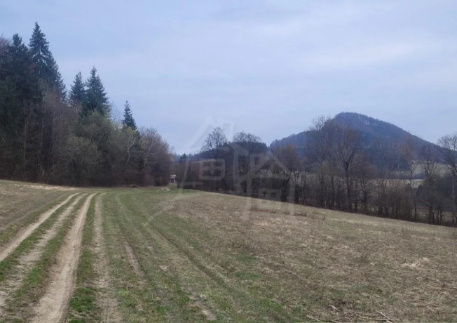 vacsi-rekreacny-pozemok-pod-lesom-s-krasnym-vyhladom-nad-o-big-1