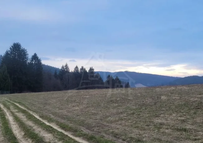 vacsi-rekreacny-pozemok-pod-lesom-s-krasnym-vyhladom-nad-o-big-2