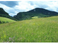 vacsi-pozemok-s-vyhladom-nad-obcou-zaskalie-pri-povazskej-small-0