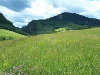 vacsi-pozemok-s-vyhladom-nad-obcou-zaskalie-pri-povazskej