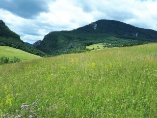 vacsi-pozemok-s-vyhladom-nad-obcou-zaskalie-pri-povazskej