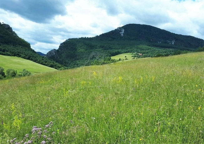 vacsi-pozemok-s-vyhladom-nad-obcou-zaskalie-pri-povazskej-big-1