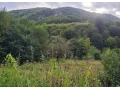 stavebny-pozemok-pod-lesom-konciaci-potocikom-v-krasnom-pr-small-2