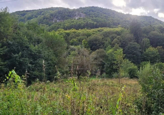 stavebny-pozemok-pod-lesom-konciaci-potocikom-v-krasnom-pr-big-2