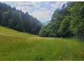 rekreacny-pozemok-pri-lese-s-krasnym-vyhladom-nad-obcou-za-small-4