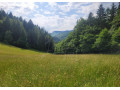 rekreacny-pozemok-pri-lese-s-krasnym-vyhladom-nad-obcou-za-small-2