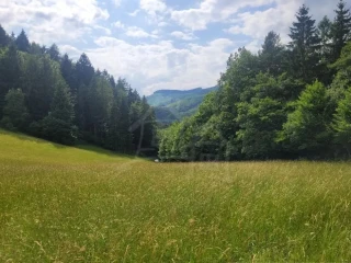 rekreacny-pozemok-pri-lese-s-krasnym-vyhladom-nad-obcou-za
