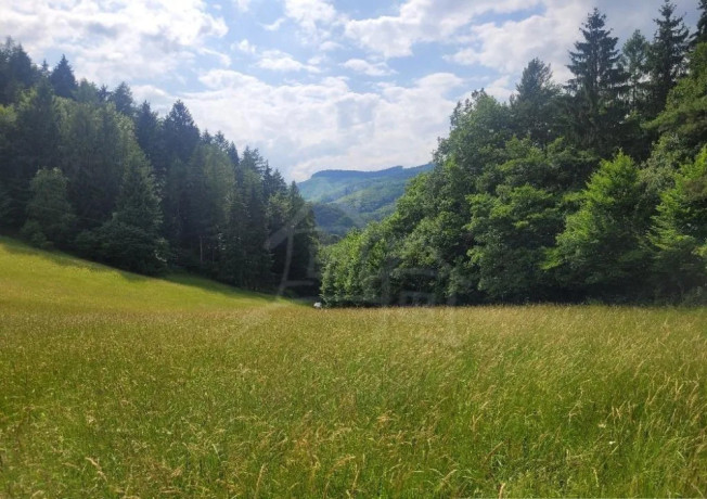 rekreacny-pozemok-pri-lese-s-krasnym-vyhladom-nad-obcou-za-big-2