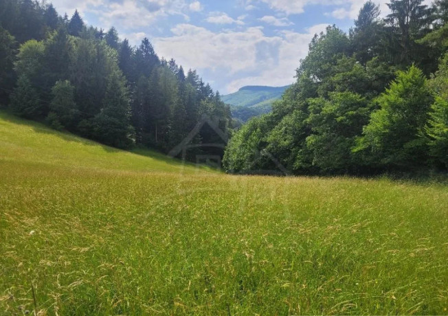 rekreacny-pozemok-pri-lese-s-krasnym-vyhladom-nad-obcou-za-big-1