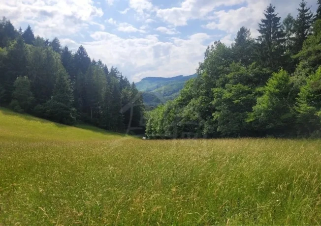 rekreacny-pozemok-pri-lese-s-krasnym-vyhladom-nad-obcou-za-big-0