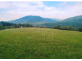 rekreacny-pozemok-s-nadhernym-vyhladom-v-bielych-karpatoch-small-4