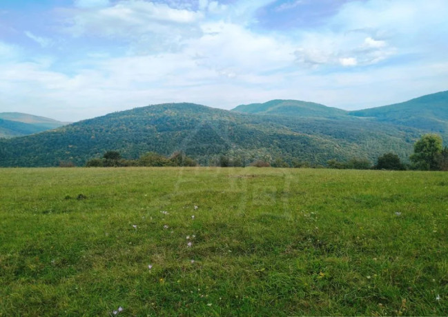 rekreacny-pozemok-s-nadhernym-vyhladom-v-bielych-karpatoch-big-2