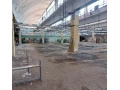 hala-na-predaj-small-1
