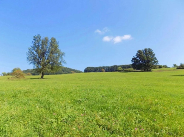 pozemok-na-predaj-165-arov-hrabusice-big-0
