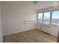 halo-reality-small-2