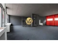 na-prenajom-reprezentativne-priestory-o-vymere-300m2-s-velky-small-4