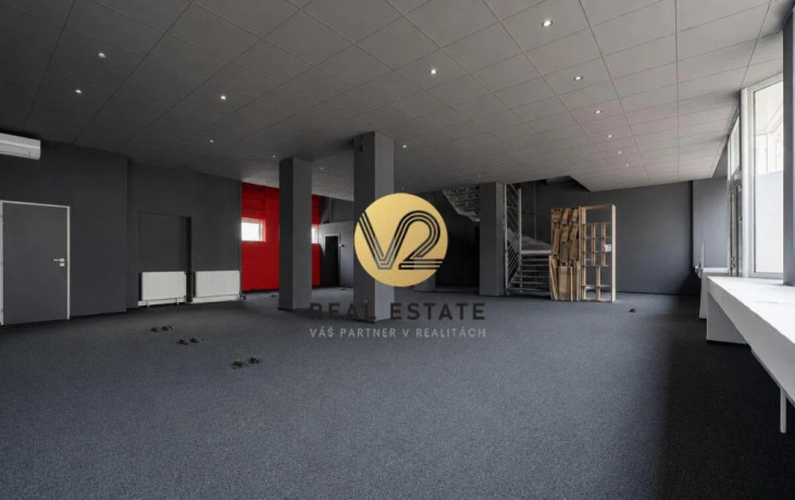 na-prenajom-reprezentativne-priestory-o-vymere-300m2-s-velky-big-0