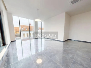 halo-reality