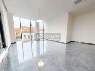 halo-reality