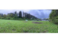 atraktivny-rovinaty-stavebny-pozemok-predmier-2751m2-small-2