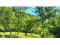 slnecny-rekreacny-pozemok-1250m2-centrum-banska-stiavnica-small-2