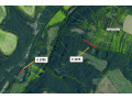 domaniky-1000-m2-lesne-pozemky-small-0