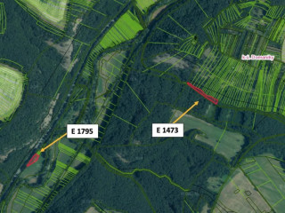 domaniky-1000-m2-lesne-pozemky
