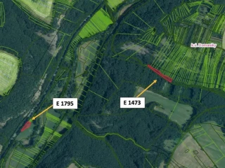 domaniky-1000-m2-lesne-pozemky