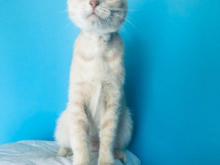 leah-si-hlada-domov-vo-vnutri