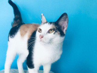 nela-si-hlada-domov-vo-vnutri