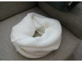 predam-nove-damske-bundy-small-3