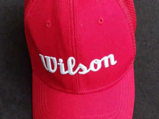 siltovka-wilson