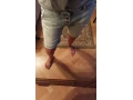 devergo-small-3