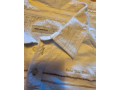 panska-polokosela-small-1