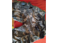 branditky-tristvrtaky-2kusy-small-1