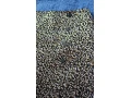 damska-spolocenska-sukna-small-4