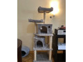 strom-so-skrabadlami-pre-macky-small-0