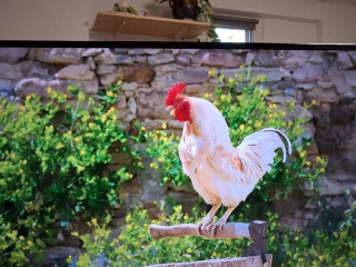 predam-3d-led-smart-tv-samsung-ue40f6340ss