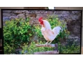 predam-3d-led-smart-tv-samsung-ue48h6200aw-small-0