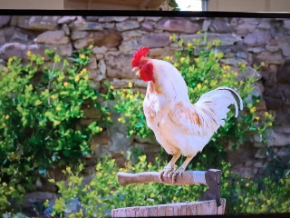 predam-3d-led-smart-tv-samsung-ue48h6200aw